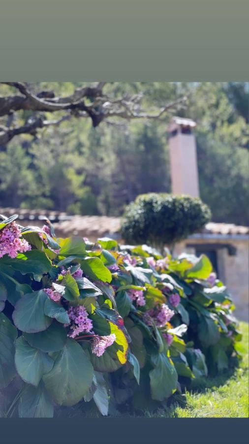 Masia Cap Del Roc Vallcebre Εξωτερικό φωτογραφία