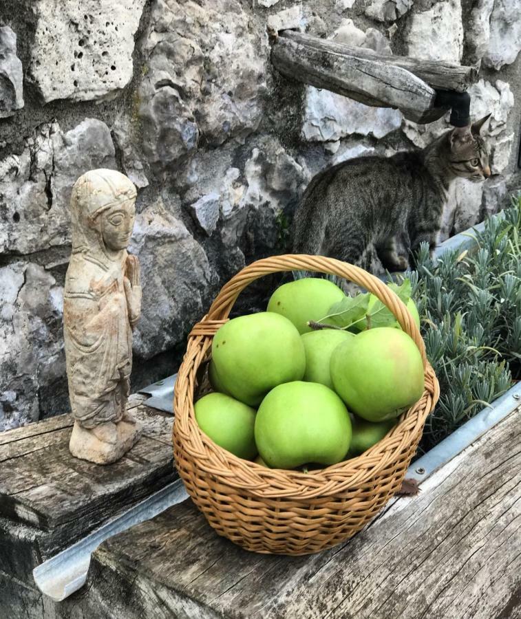 Masia Cap Del Roc Vallcebre Εξωτερικό φωτογραφία
